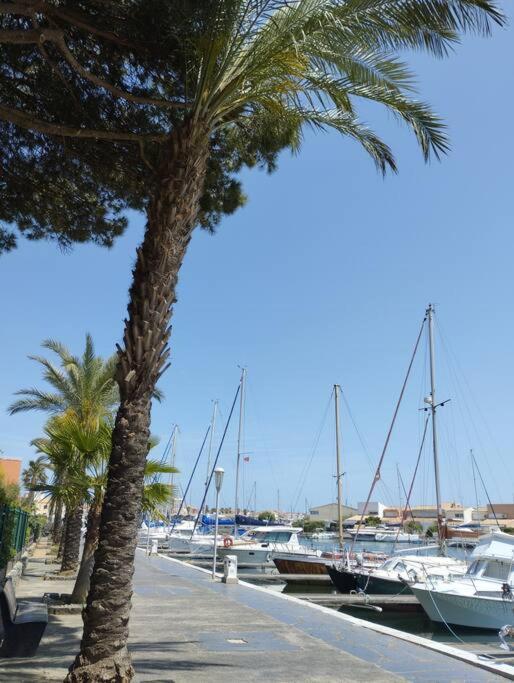 Studio 4 Couchages Avec Piscine D'Ete Vue Port Agde Kültér fotó